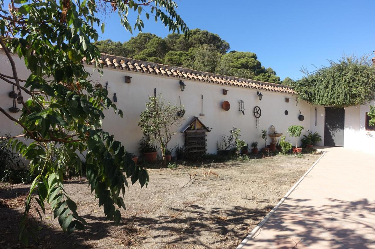 Galwey, Tourist Appartments With Wifi Malaga Exterior photo